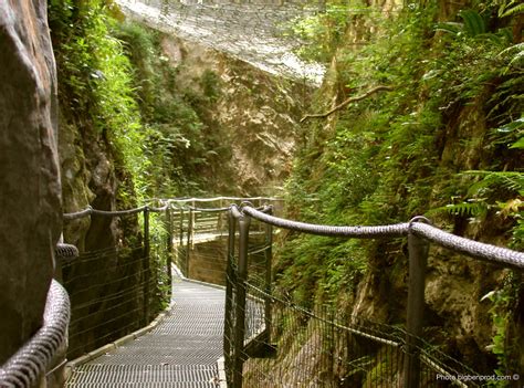 gorges de fou|Gorges de la Fou